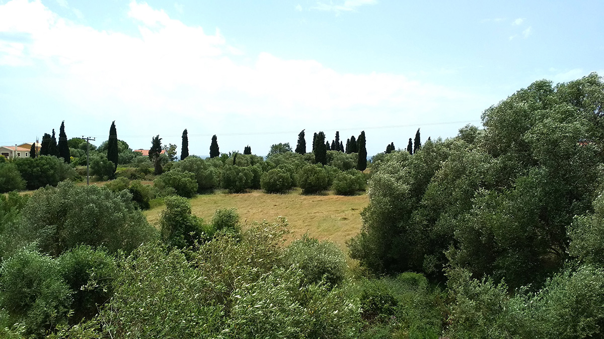 Casa De Rosa Apartments & Studios, ,