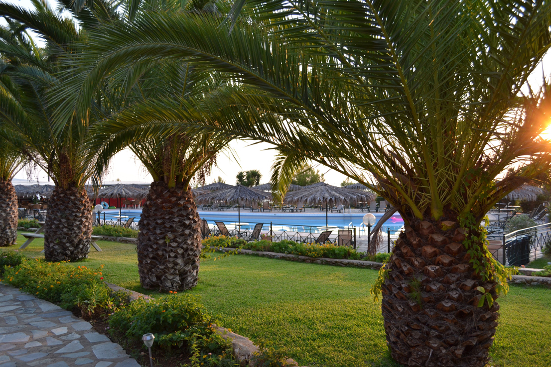 San Lorenzo Village 3 * San Lorenzo Village 3 *