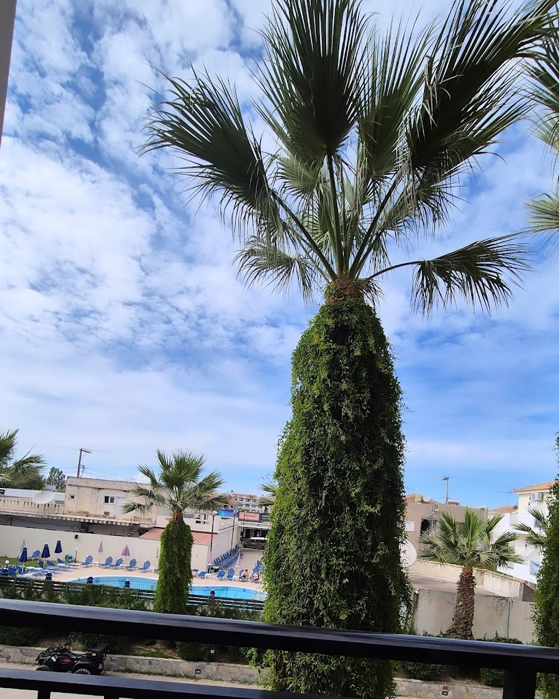 Hotel \