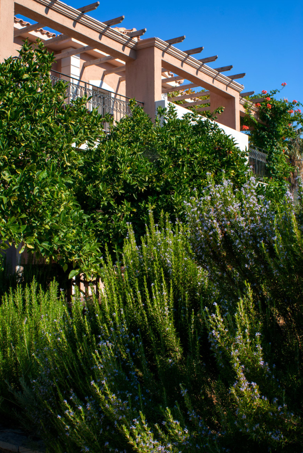 Efrosini Village 3 *