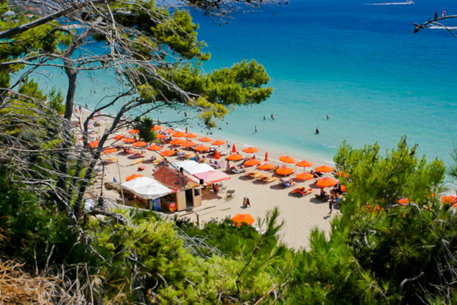 Lorenzo House Apartments, ,