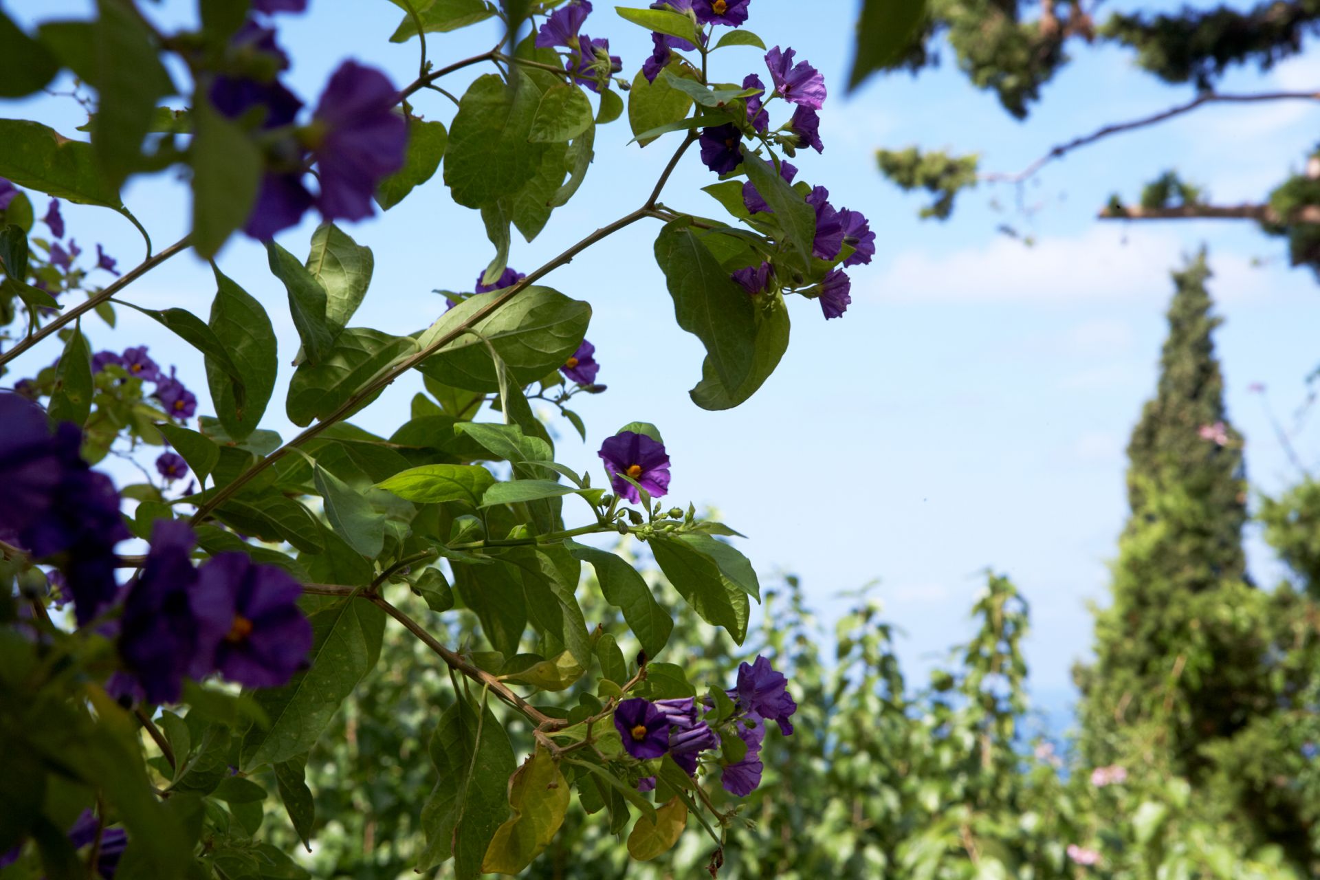 Dafnoudi Hotel & Apartments 2 *