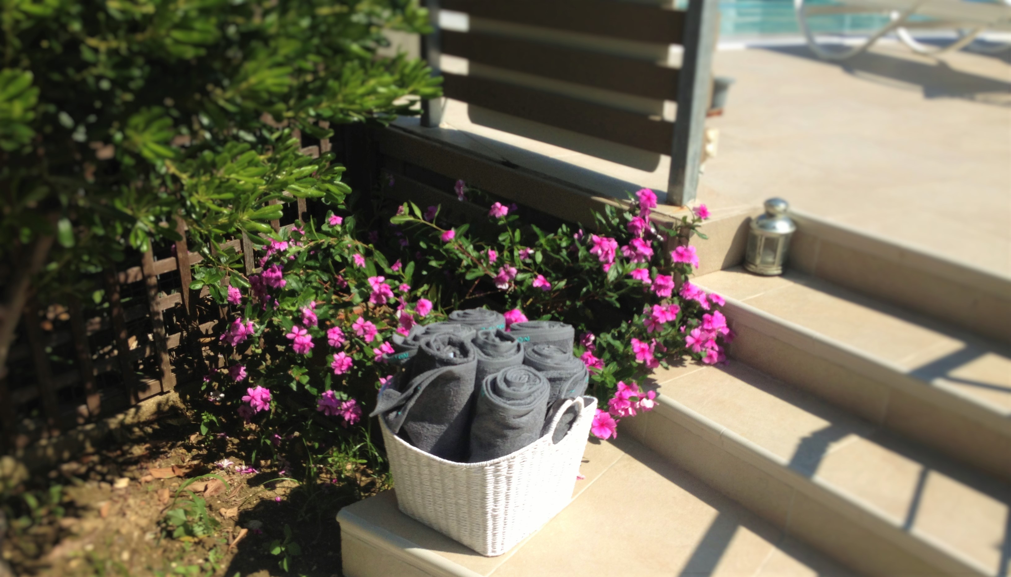 Notos Studios & Apartments 4 *